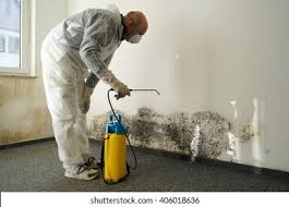 Best Residential Mold Inspection & Testing  in Hayden, CO